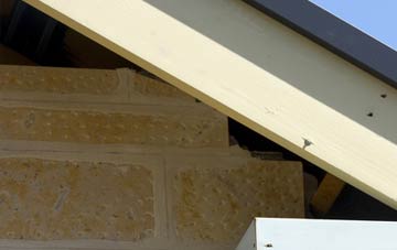 soffit repair Romannobridge